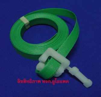 strap with buckle