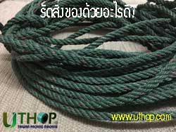 สายรัดแบบไหนดี