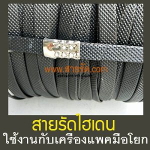 สายรัดไฮเดน