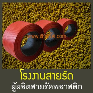 โรงงานสายรัด