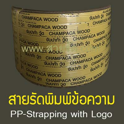สายรัดพีพีพิมพ์ข้อความ